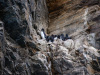 SVA_1529