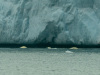 SVA_1733