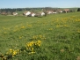 stbrais