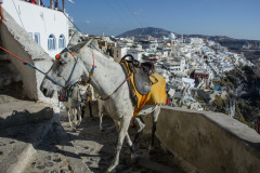KYK_0033a