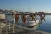 KYK_0344