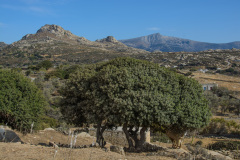 KYK_0418