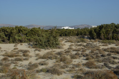 KYK_0476