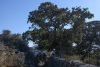 KYK_0589