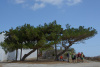 KYK_0820
