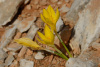 KYK_0832a