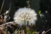 ten_0154_r16