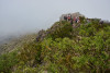 ten_0580_r16