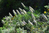 ten_0656_r16