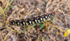 USB_0236
