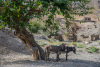 USB_0952
