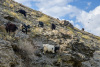 USB_0964