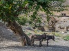 USB_0952