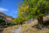 USB_0991