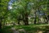 USB_0994