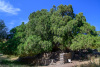 USB_0998
