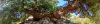 USB_1012-Pano