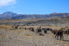 USB_1079