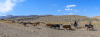 USB_1081-Pano