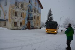 DSC_0217_r