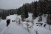DSC_0217a_r