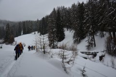 DSC_0217a_r