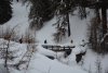 DSC_0217b_r