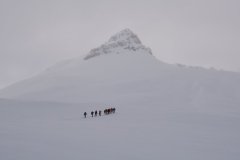 DSC_0492_1_r