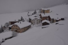DSC_0527_1_r