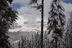 DSC_0711_r