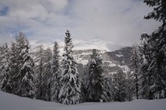 DSC_0732_r