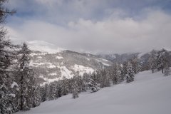 DSC_0737_r