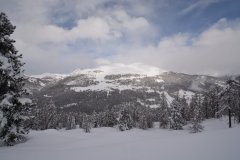 DSC_0740_r