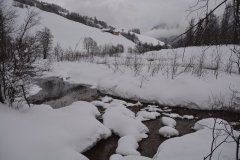 DSC_0767_r