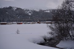 DSC_0781_r