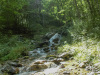 Maira_147