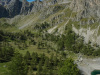 Maira_249