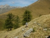Maira_197_r